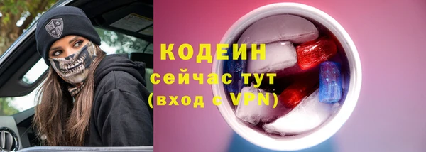 эйфоретик Алзамай