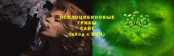эйфоретик Алзамай