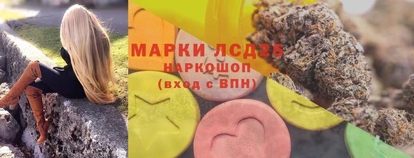 эйфоретик Алзамай