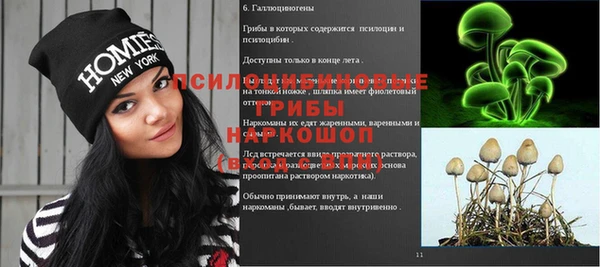 эйфоретик Алзамай